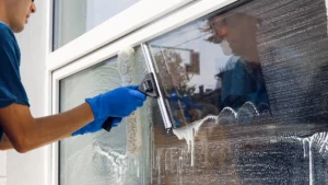 benefits of professional window cleaning