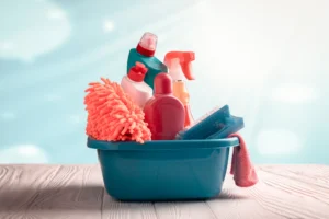 difference between spring and regular clean